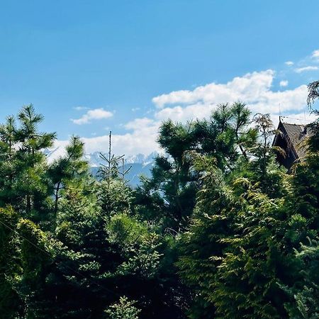 Swarny Zakatek Apartment Zakopane Ngoại thất bức ảnh
