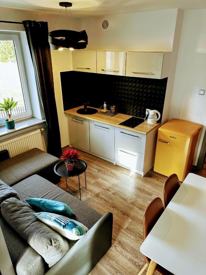Swarny Zakatek Apartment Zakopane Ngoại thất bức ảnh