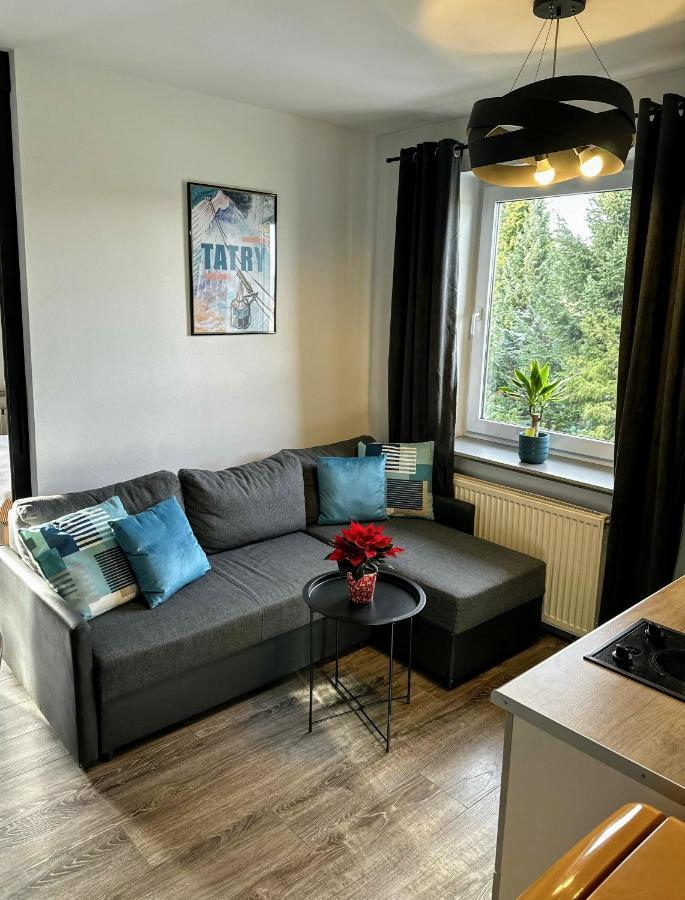 Swarny Zakatek Apartment Zakopane Ngoại thất bức ảnh