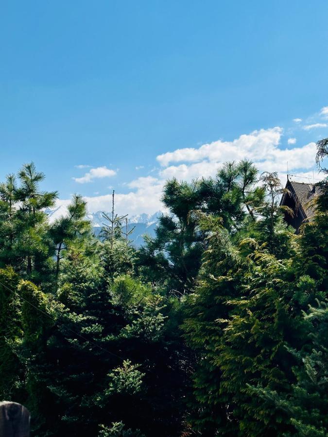 Swarny Zakatek Apartment Zakopane Ngoại thất bức ảnh